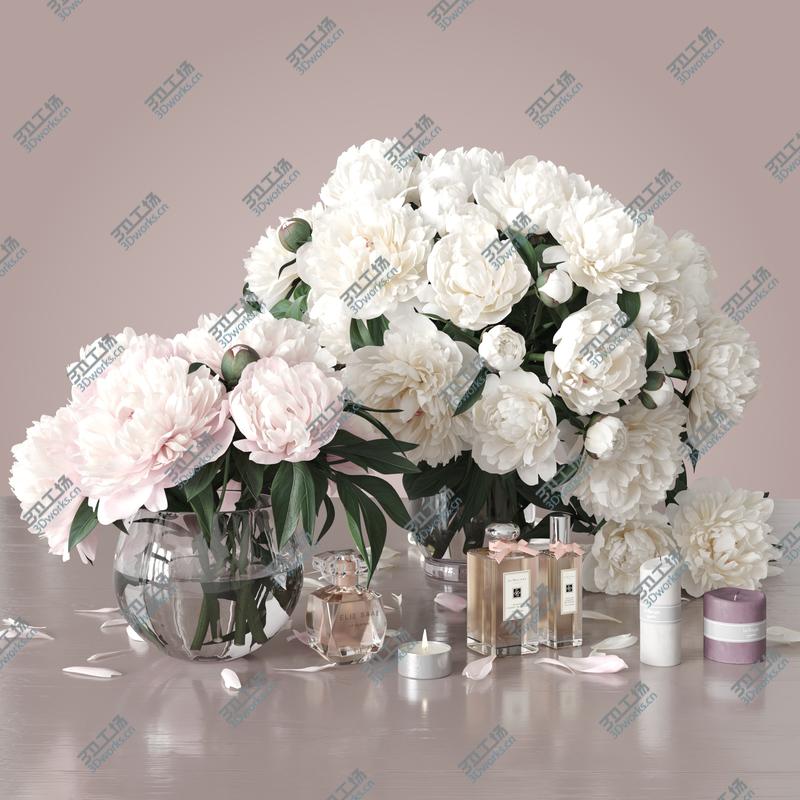 images/goods_img/2021040233/Peonies 2 3D/1.jpg